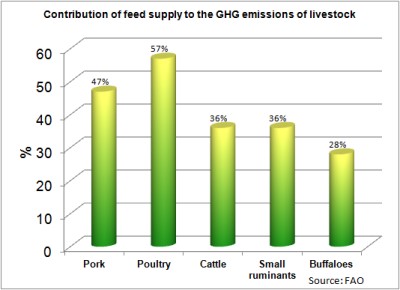 Contribution of feed supply to the GHG emissions of livestock<br />
