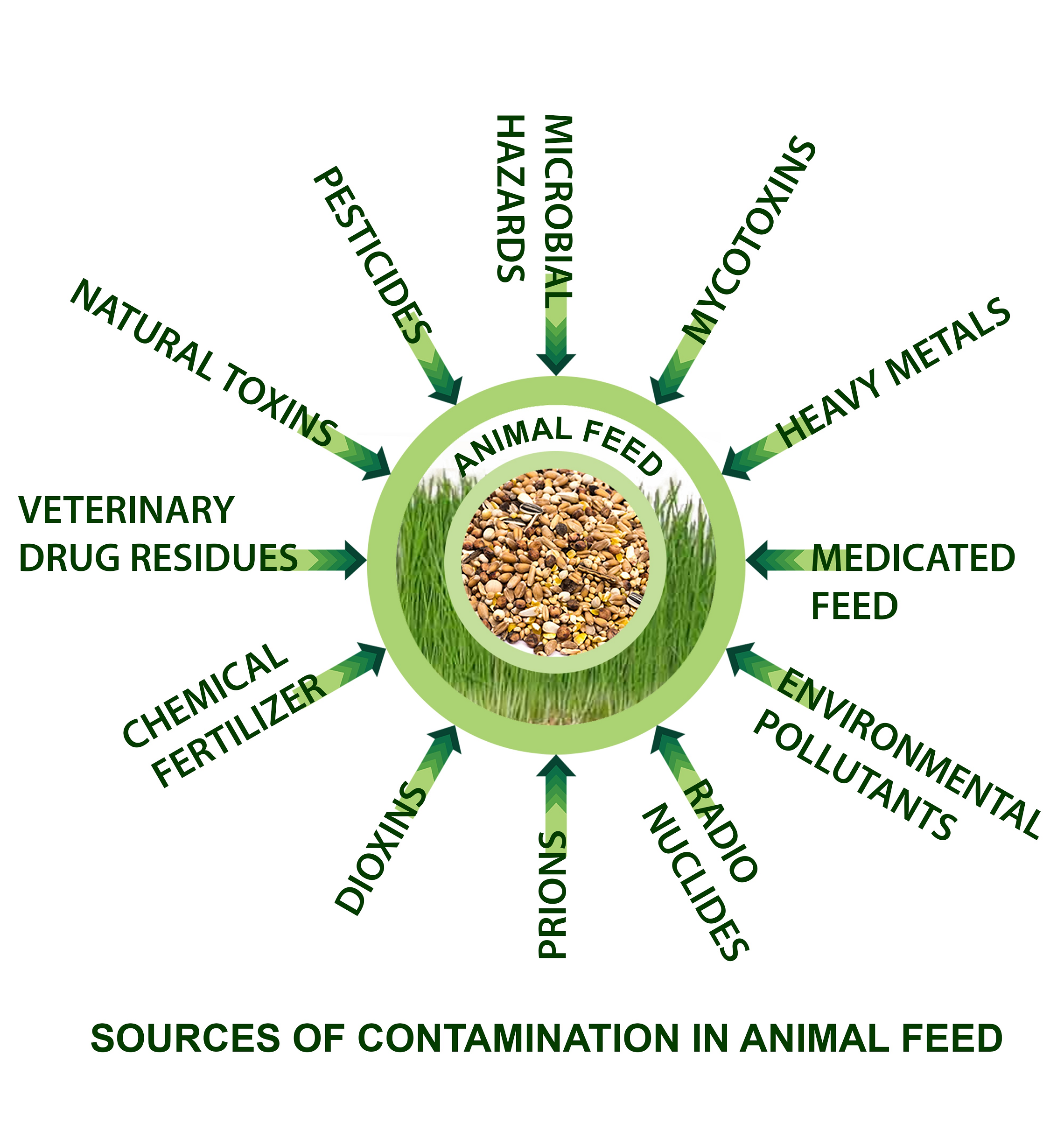 Integrated Food Safety and Veterinary Public Health