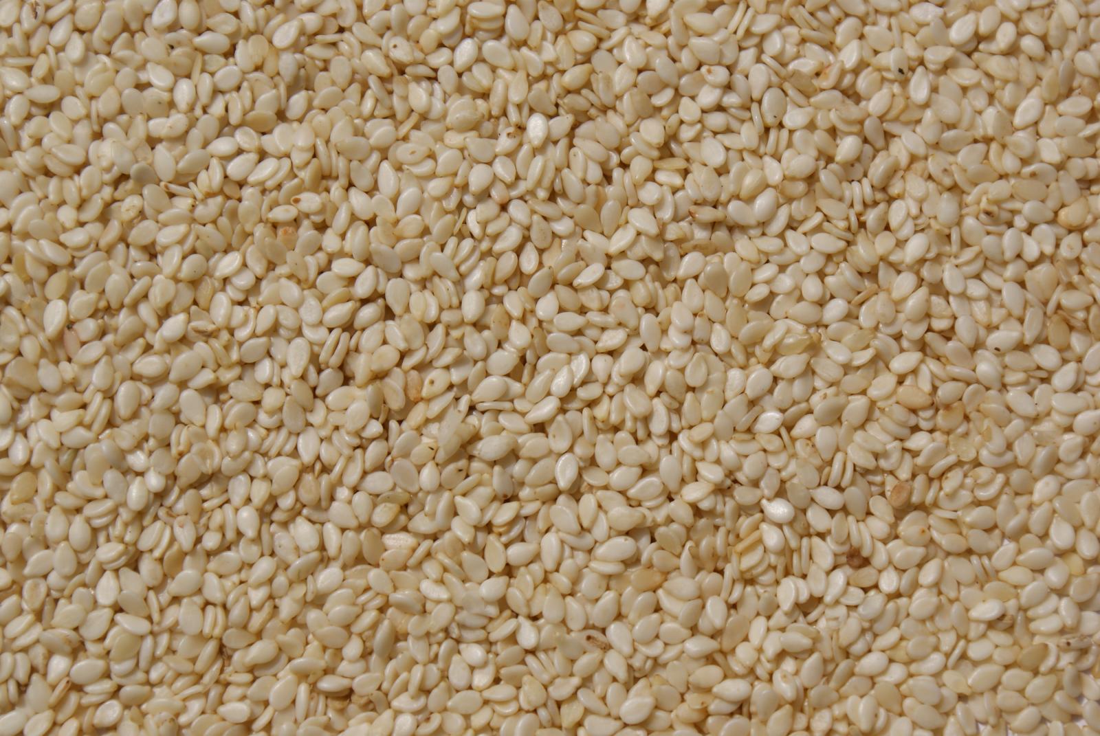 Sesame (Sesamum indicum) seeds