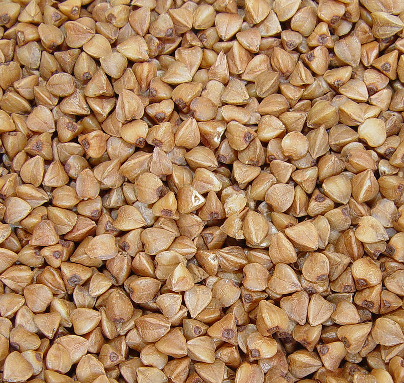 Roasted Buckwheat Husk Hull - China Husk, Buckwheat