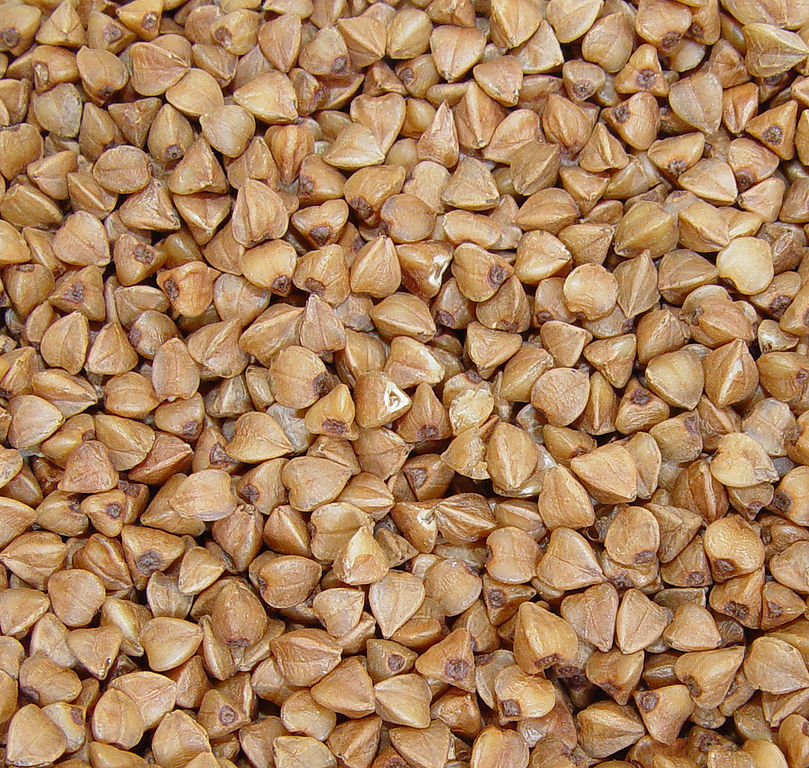 Buckwheat Fagopyrum Esculentum Grain Feedipedia