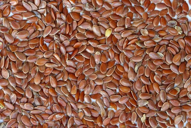 Malay flaxseed in Where to