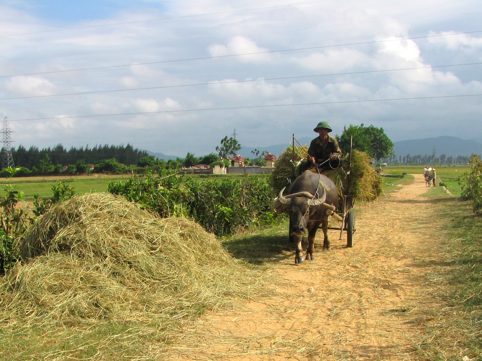 Effect of different application proportions of rice straw and