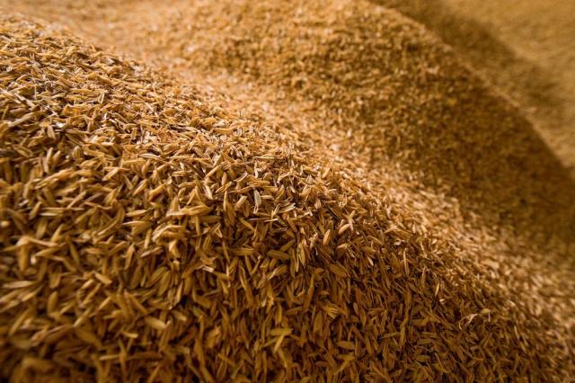 what is rice bran in poultry diets