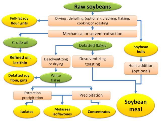 Soybean Processing Flow Chart