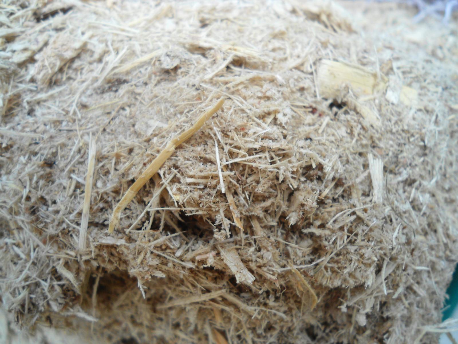 Sugarcane Bagasse Feedipedia Sugarcane Bagasse Feedipedia