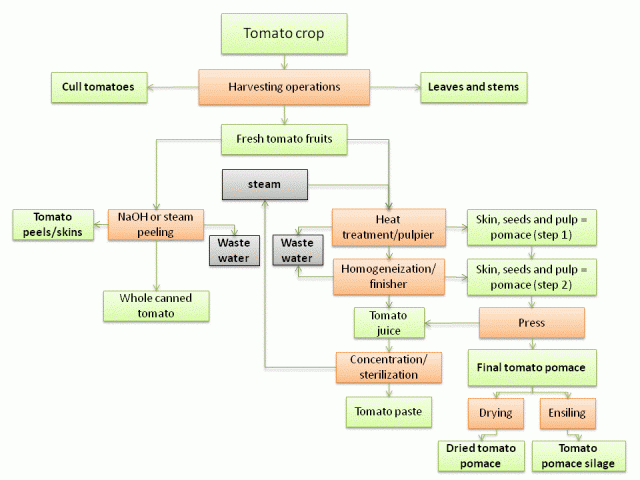 Flow Chart Of Tomato Ketchup