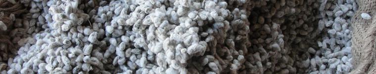 https://www.feedipedia.org/content/bag-cotton-seeds-cattle