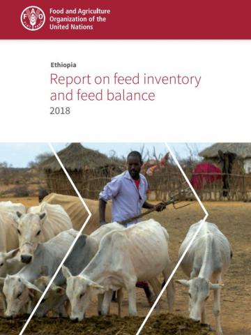 Ethiopia: feed inventory