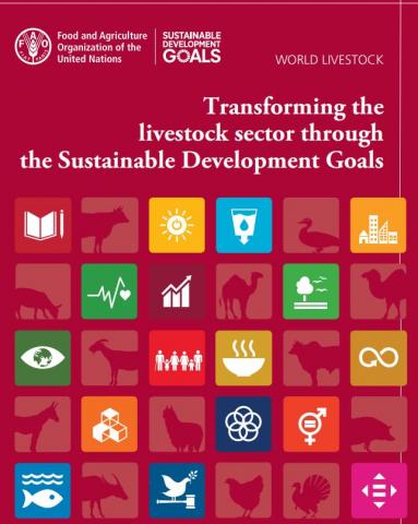 World livestock: Transforming the livestock sector through the Sustainable Development Goals