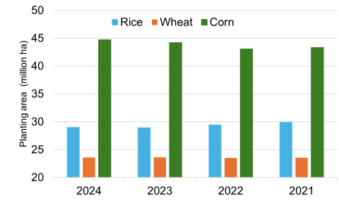 Figure 2b. Planting area of rice, wheat, and corn, in China