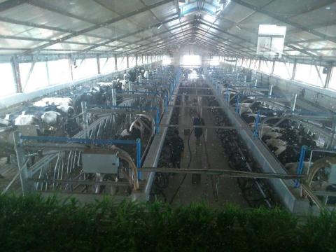 Figure 4.1: Milking parlour