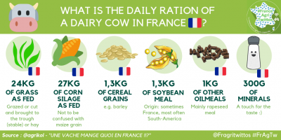 Daily ration of a French dairy cow (Credit: @Agrikol)