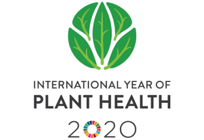 International Year of Plant Health 2020