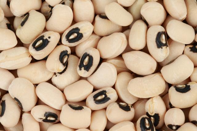 Black-eyed peas (Vigna unguiculata subsp. unguiculata)