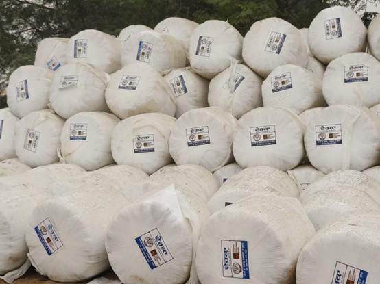 Storage of paddy baled silage, India