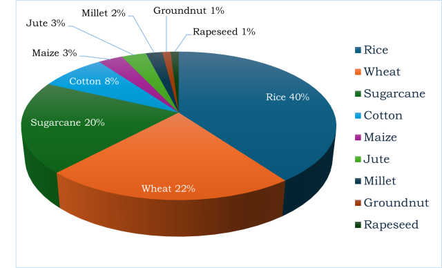 Figure 8. Contribution of different crops in residue burning