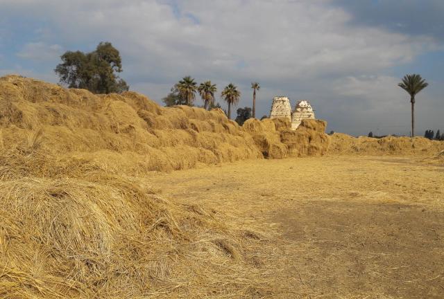 rice straw round balls