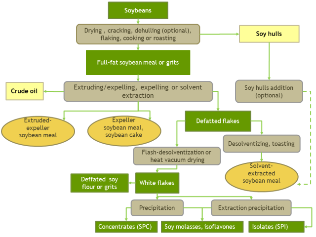 Soybean processing