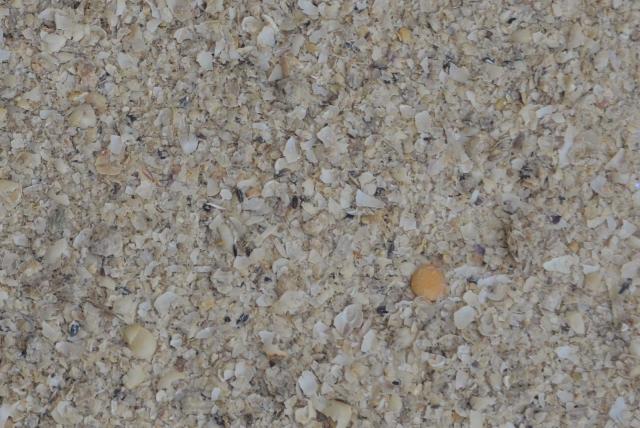 Soybean hulls in bulk