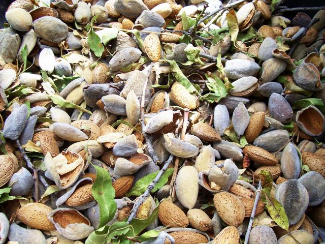 almond hulls, shells, leaves, and twigs