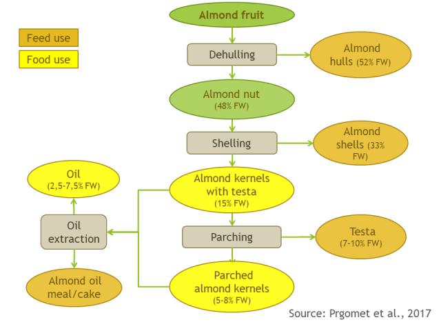 Processing of almonds and their by-products