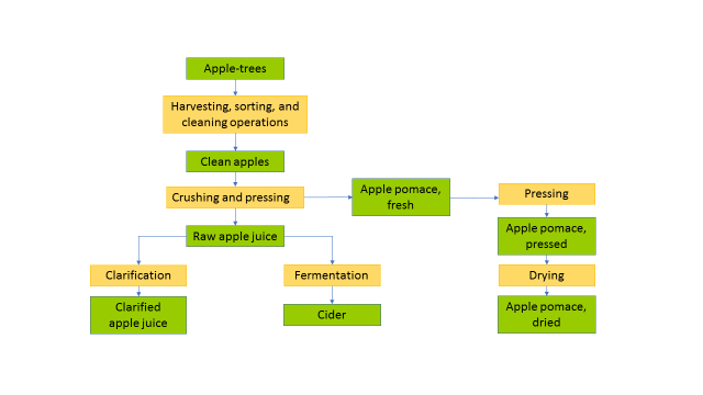 Apple processing yields apple juice, cider and apple pomace