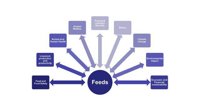 Animal nutrition: beyond the boundaries of feed and feeding | Feedipedia