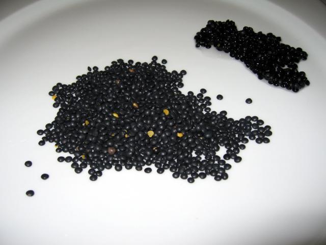 Black beluga lentils