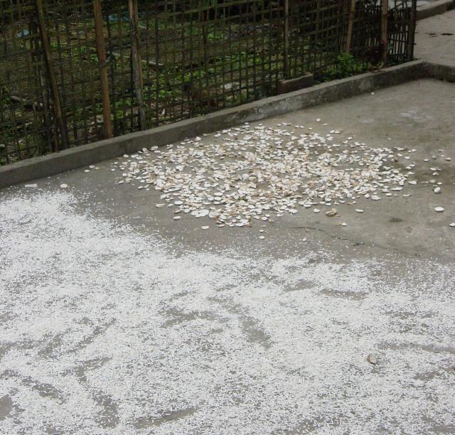 Cassava chips drying, Vietnam