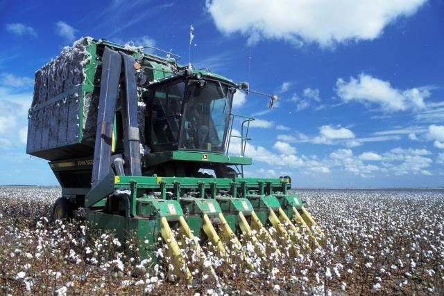 Cotton Harvesting