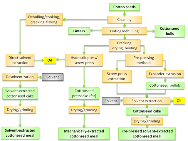 Cottonseed meal process