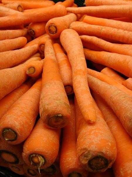 Carrot (Daucus carota) roots, Hawaii
