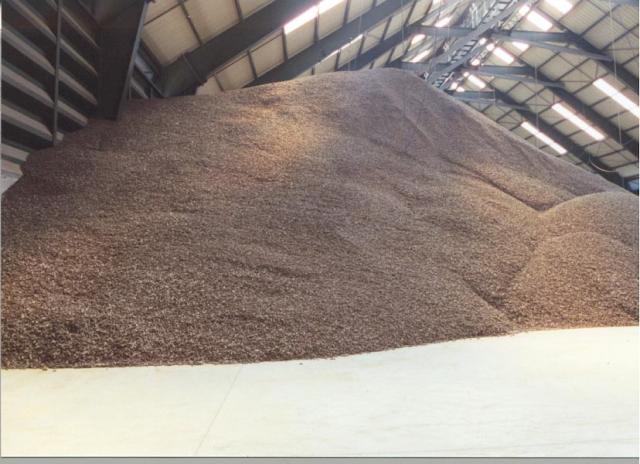 Storage of dehydrated sugarbeet pulp