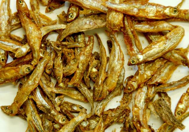Lake Victoria sardine (Rastrineobola argentea)