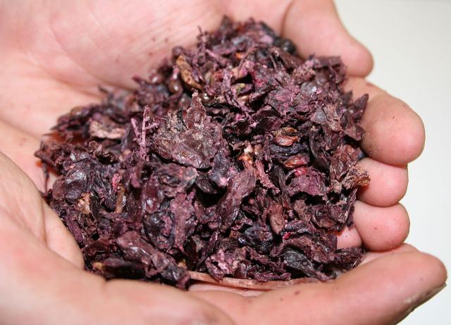 Grape pomace (red grape)