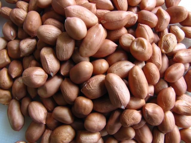 Groundnuts, Vietnam