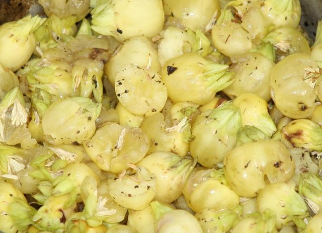 Mahua (Madhuca longifolia), fruits, India