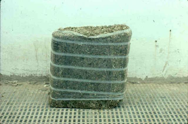 Olive forage in high pressure bale, Andalusia, Spain