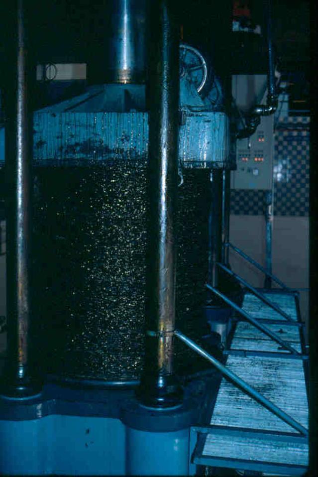 Oil extraction using wicker baskets (capachos) Feedipedia