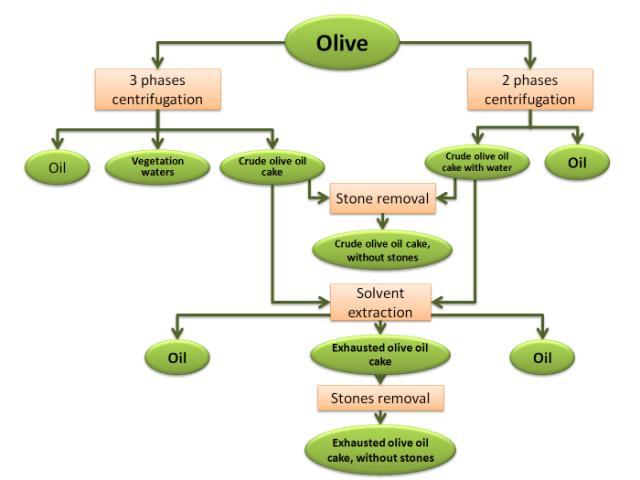 Olive oil processing