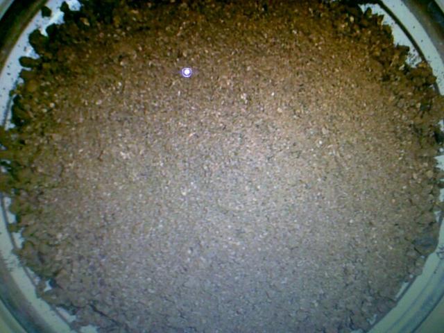 Palm kernel cake