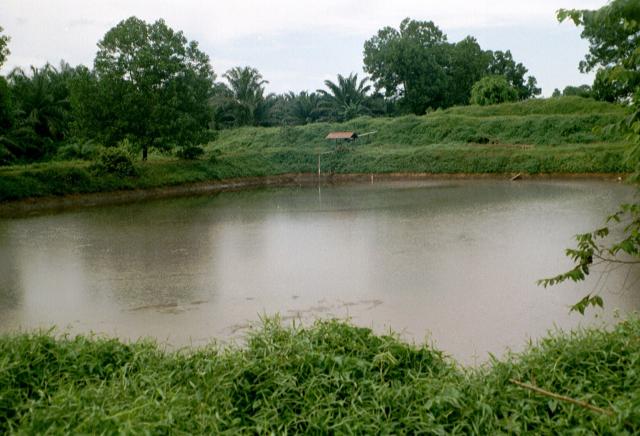 Palm oil mill effluent pond, Indonesia