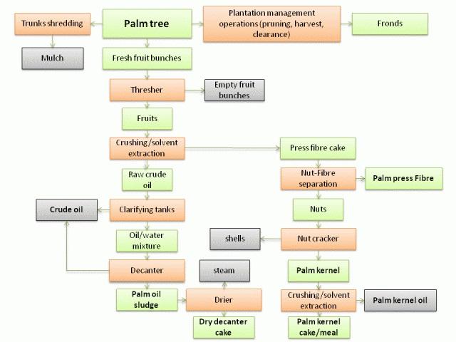 Palm kernel meal and oil palm by-products processing