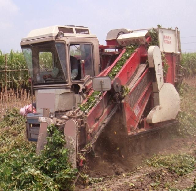 Peanut harvester