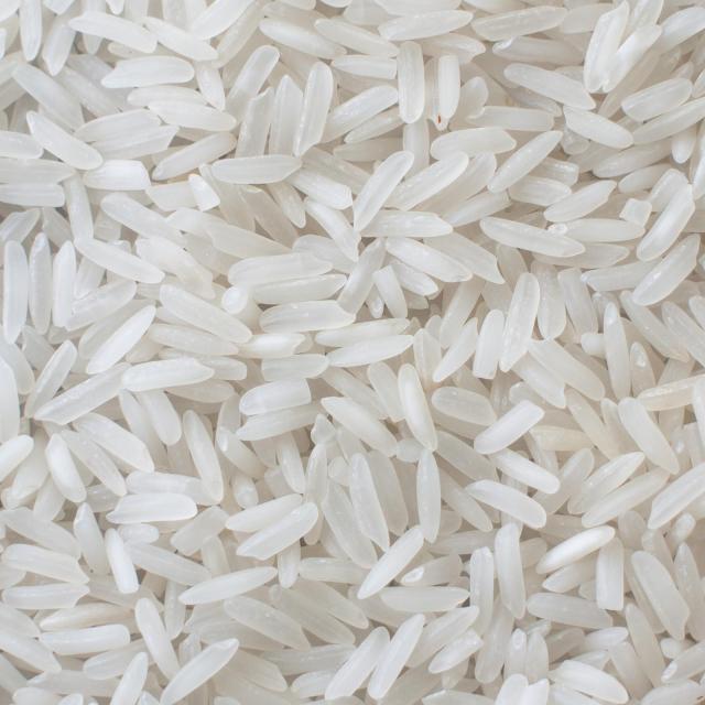 Polished Thai jasmine rice