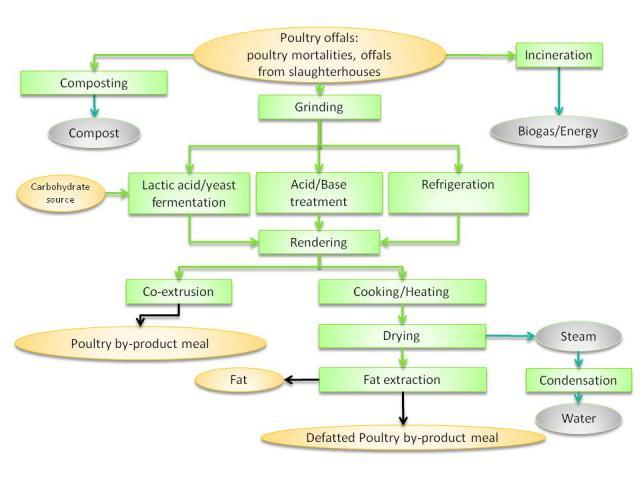 Poultry by-products meal: processes