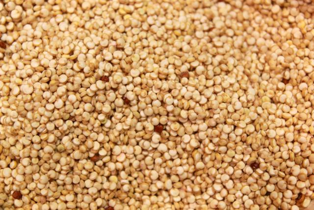Quinoa (Chenopodium quinoa) seeds