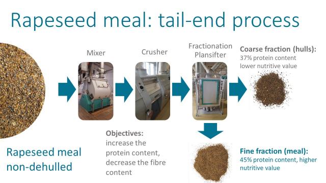 Tail-end processing of rapeseed meal