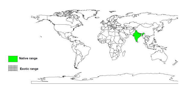 Sal (Shorea robusta) native distribution